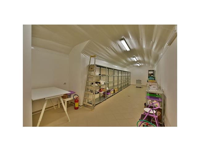 Anteprima foto 7 - Laboratorio in Vendita a Canepina (Viterbo)