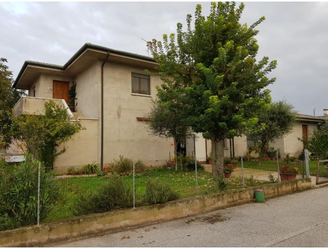 Anteprima foto 6 - Laboratorio in Vendita a Cologna Veneta (Verona)