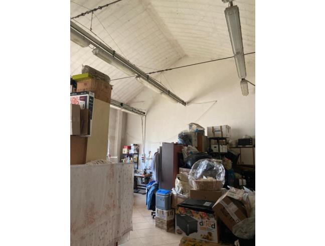 Anteprima foto 3 - Laboratorio in Vendita a Poggio Renatico - Gallo