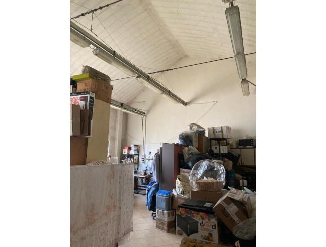 Anteprima foto 3 - Laboratorio in Vendita a Poggio Renatico - Gallo