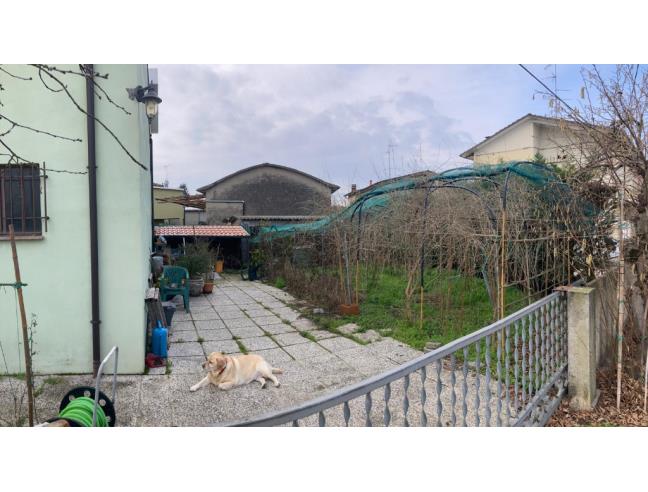 Anteprima foto 5 - Laboratorio in Vendita a Poggio Renatico - Gallo