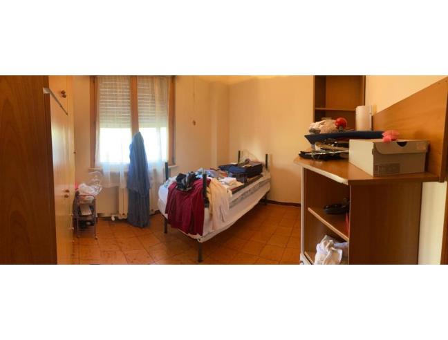 Anteprima foto 8 - Laboratorio in Vendita a Poggio Renatico - Gallo