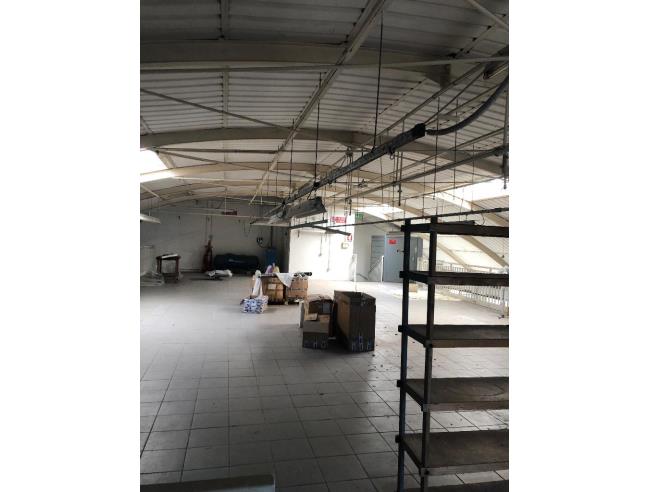 Anteprima foto 3 - Laboratorio in Vendita a Porto Viro (Rovigo)