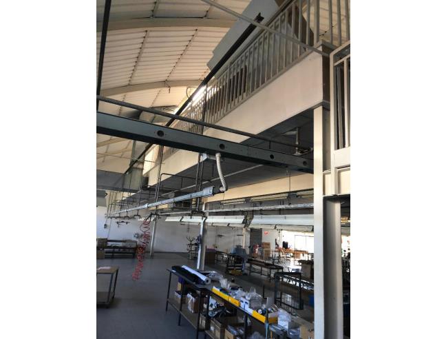 Anteprima foto 6 - Laboratorio in Vendita a Porto Viro (Rovigo)