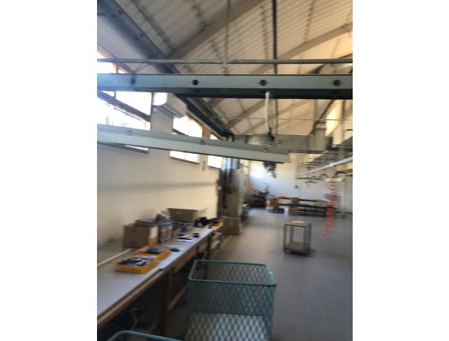 Anteprima foto 8 - Laboratorio in Vendita a Porto Viro (Rovigo)