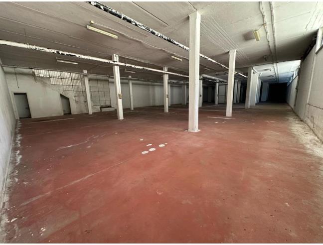 Anteprima foto 7 - Magazzino in Affitto a Ciampino (Roma)