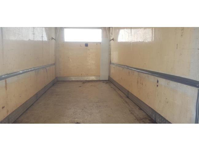 Anteprima foto 6 - Magazzino in Affitto a Lucca - San Concordio Contrada