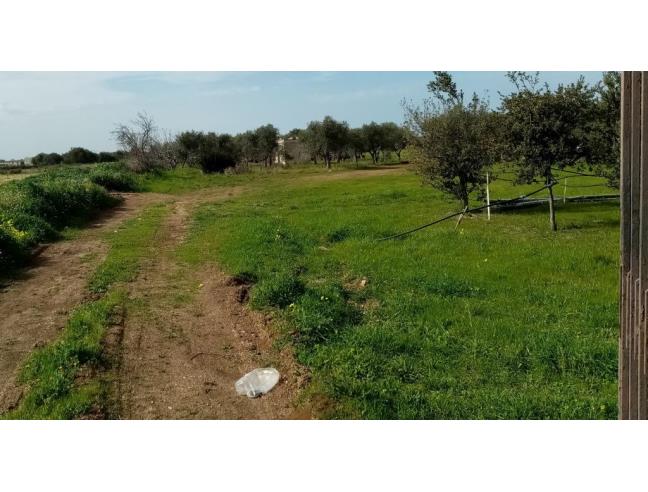 Anteprima foto 1 - Magazzino in Affitto a Triggiano (Bari)