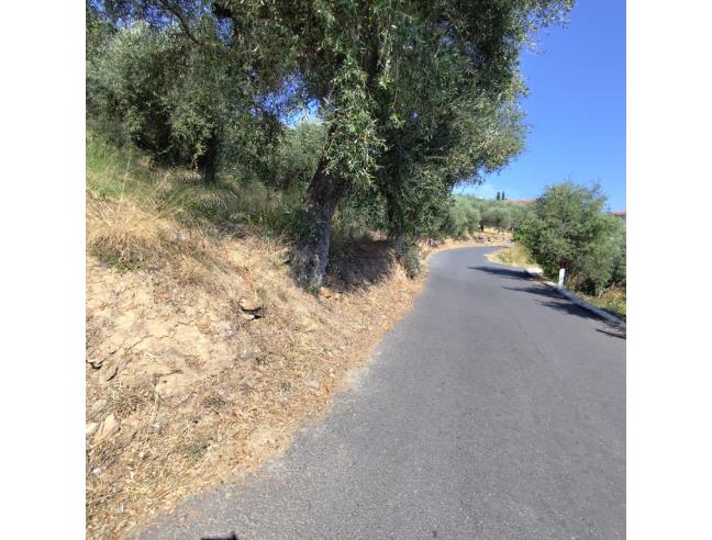 Anteprima foto 3 - Magazzino in Vendita a Diano San Pietro (Imperia)