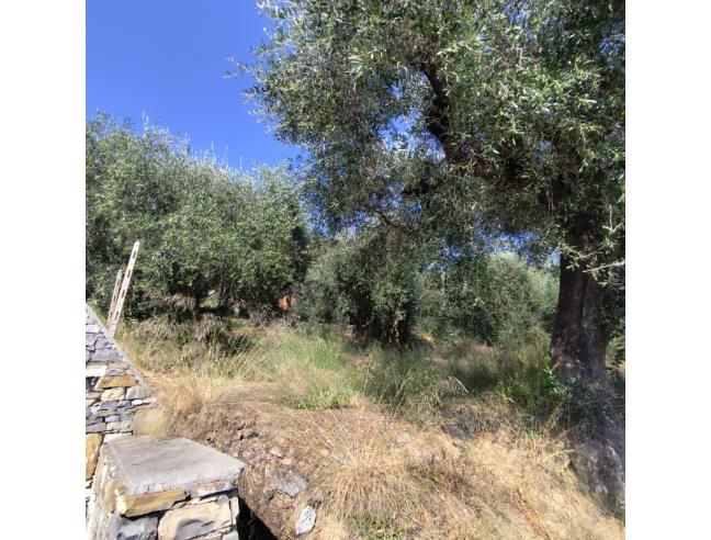 Anteprima foto 6 - Magazzino in Vendita a Diano San Pietro (Imperia)