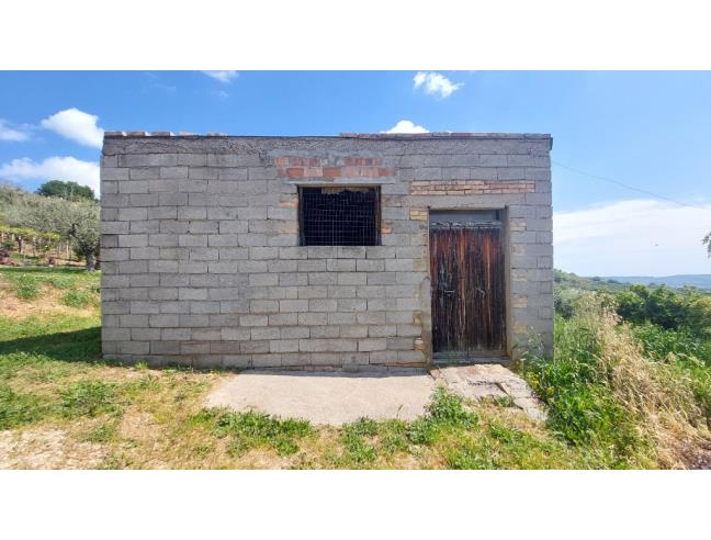 Anteprima foto 2 - Magazzino in Vendita a Mozzagrogna - Villa Romagnoli