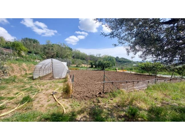 Anteprima foto 8 - Magazzino in Vendita a Mozzagrogna - Villa Romagnoli