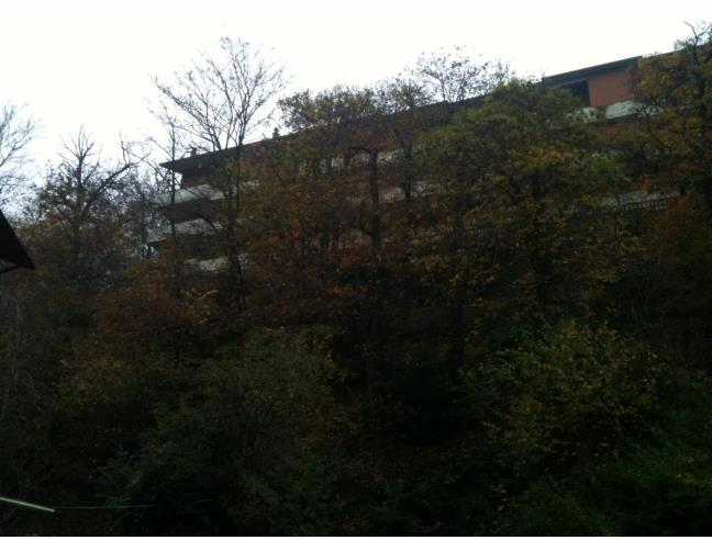 Anteprima foto 5 - Mansarda in Vendita a Moggio (Lecco)