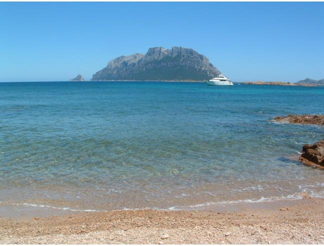 Anteprima foto 5 - Multiproprietà in Affitto a Olbia - Cugnana Verde