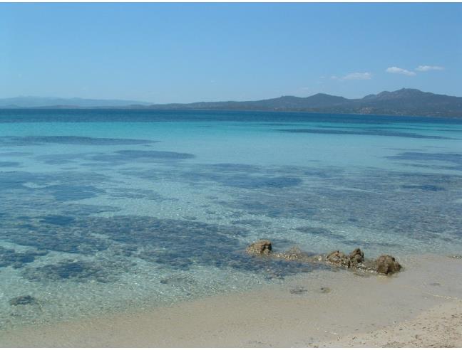 Anteprima foto 8 - Multiproprietà in Affitto a Olbia - Cugnana Verde