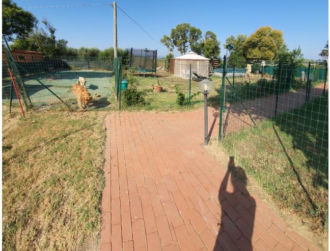 Anteprima foto 6 - Multiproprietà in Vendita a Campiglia Marittima (Livorno)