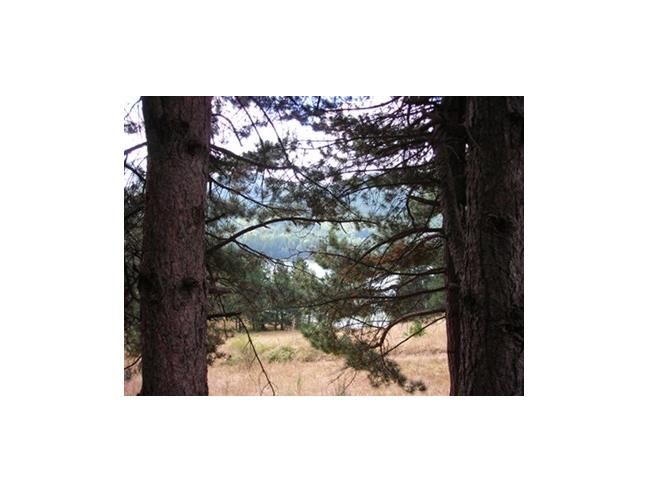 Anteprima foto 7 - Multiproprietà in Vendita a Cotronei - Trepidò