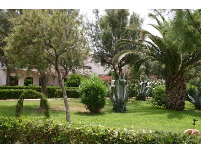 Anteprima foto 5 - Multiproprietà in Vendita a Ragusa (Ragusa)