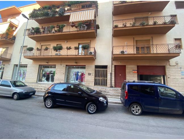 Anteprima foto 2 - Negozio in Affitto a Canosa di Puglia (Barletta-Andria-Trani)