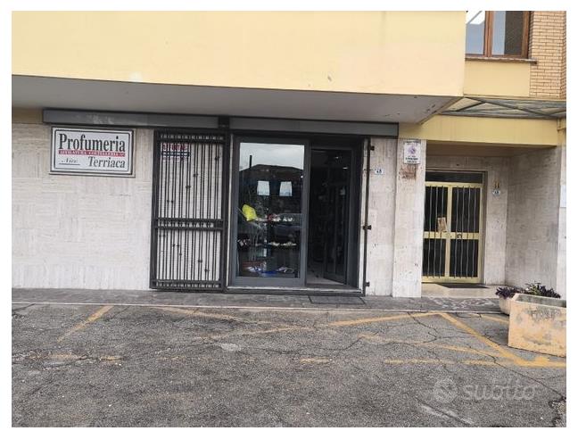 Anteprima foto 1 - Negozio in Affitto a Frosinone - Centro città