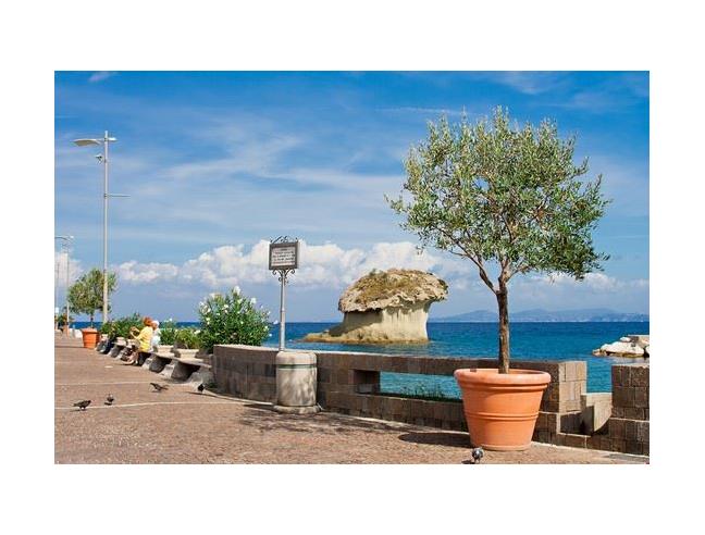 Anteprima foto 8 - Negozio in Affitto a Lacco Ameno (Napoli)