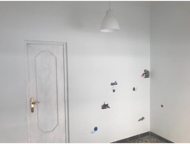 Anteprima foto 3 - Negozio in Affitto a Palagianello (Taranto)