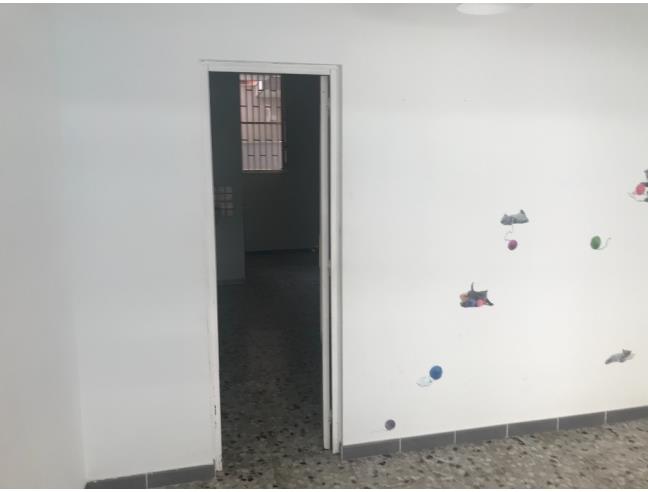 Anteprima foto 7 - Negozio in Affitto a Palagianello (Taranto)