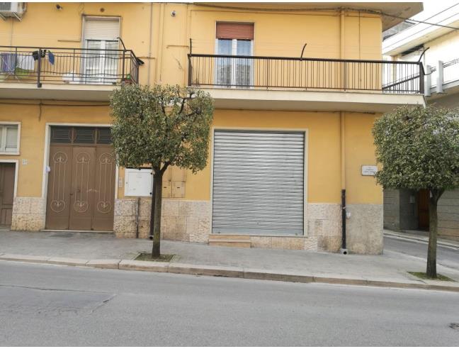 Anteprima foto 1 - Negozio in Vendita a Altamura (Bari)