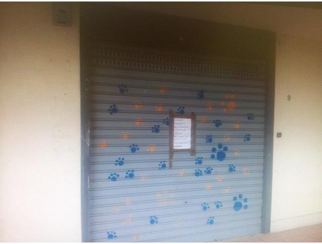 Anteprima foto 5 - Negozio in Vendita a Bari - San Paolo