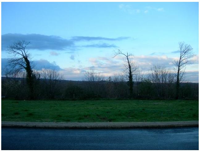 Anteprima foto 6 - Negozio in Vendita a Capranica (Viterbo)