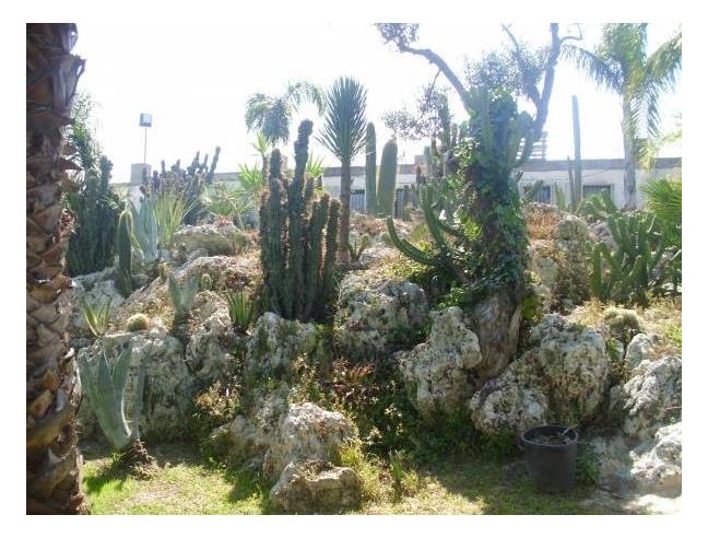 Anteprima foto 7 - Negozio in Vendita a Carpignano Salentino - Serrano