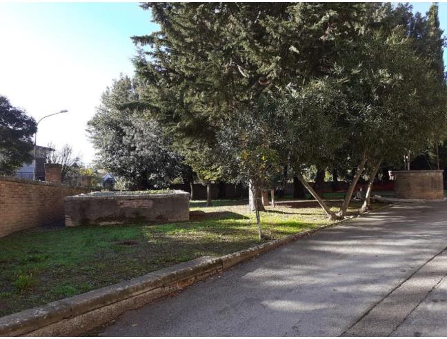 Anteprima foto 8 - Negozio in Vendita a Montalcino - Torrenieri