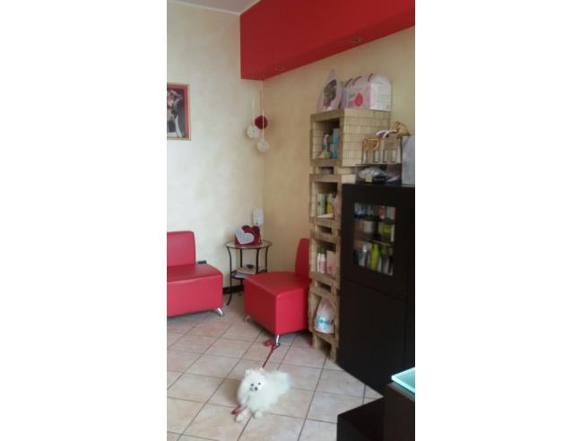 Anteprima foto 5 - Negozio in Vendita a Sondrio (Sondrio)