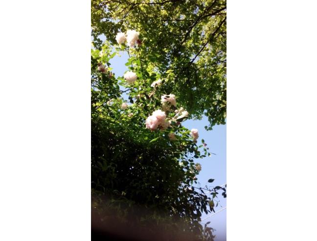 Anteprima foto 4 - Negozio in Vendita a Trieste - Centro città