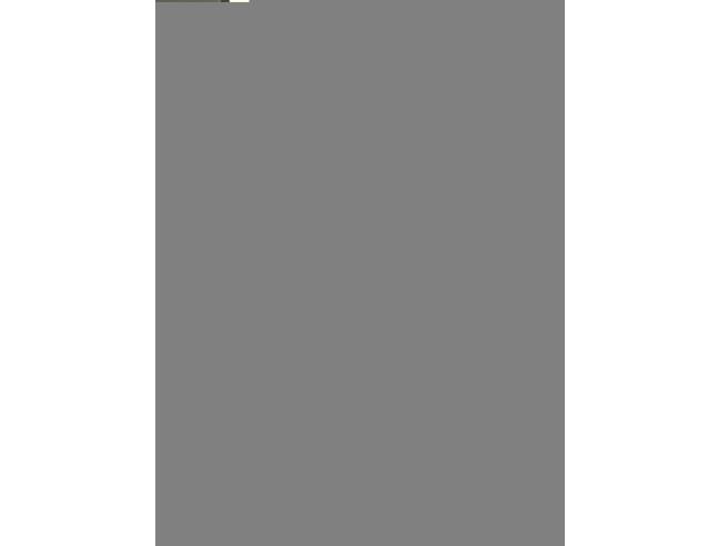 Anteprima foto 4 - Negozio in Vendita a Udine (Udine)