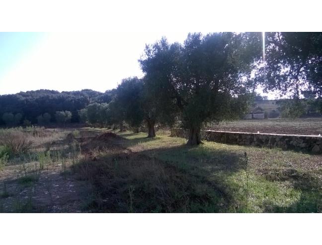 Anteprima foto 2 - Nuove Costruzioni Vendita diretta da Costruttore a Corigliano d'Otranto (Lecce)