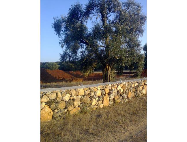 Anteprima foto 4 - Nuove Costruzioni Vendita diretta da Costruttore a Corigliano d'Otranto (Lecce)