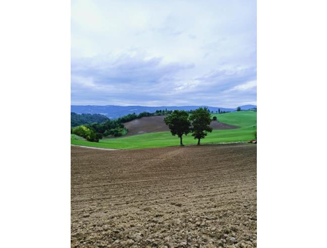 Anteprima foto 1 - Nuove Costruzioni Vendita diretta da Costruttore a Loiano - Scanello