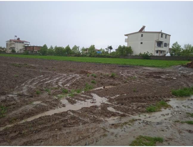 Anteprima foto 2 - Nuove Costruzioni Vendita diretta da Costruttore a Roma - Appio Claudio