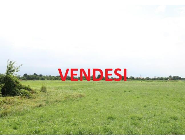 Anteprima foto 1 - Nuove Costruzioni Vendita diretta da Costruttore a San Salvatore Telesino (Benevento)