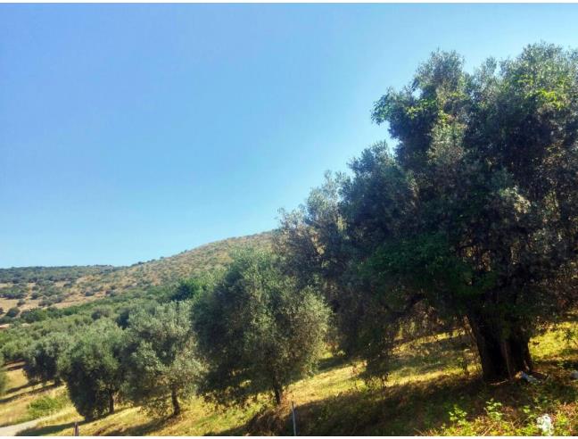 Anteprima foto 4 - Nuove Costruzioni Vendita diretta . No Agenzia a Fara in Sabina - Prime Case