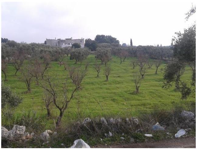 Anteprima foto 5 - Nuove Costruzioni Vendita diretta . No Agenzia a Ostuni (Brindisi)