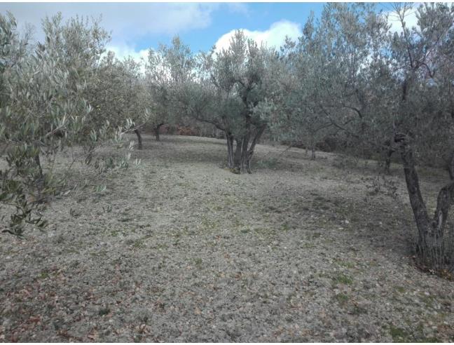 Anteprima foto 5 - Nuove Costruzioni Vendita diretta . No Agenzia a Tufillo (Chieti)