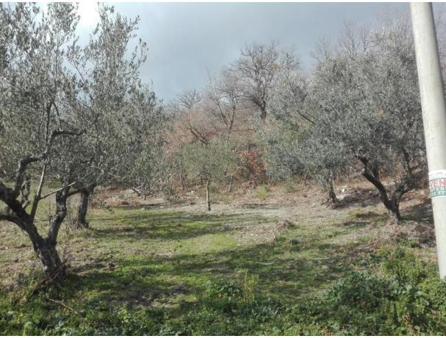 Anteprima foto 6 - Nuove Costruzioni Vendita diretta . No Agenzia a Tufillo (Chieti)