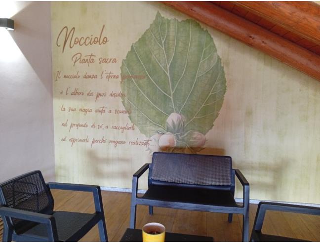 Anteprima foto 3 - Offerte Vacanze Agriturismo a Busca (Cuneo)