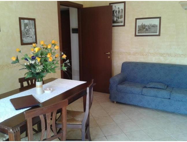 Anteprima foto 6 - Offerte Vacanze Agriturismo a Campagnatico - Arcille