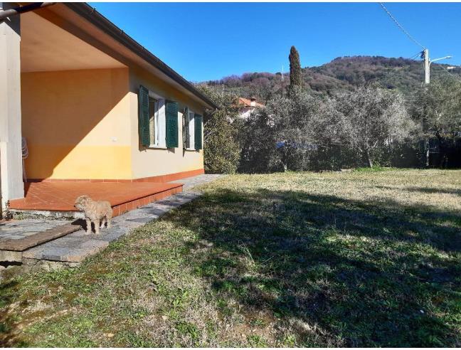Anteprima foto 8 - Offerte Vacanze Agriturismo a Castelnuovo Magra (La Spezia)
