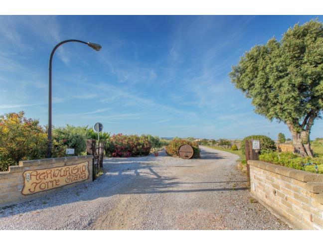 Anteprima foto 7 - Offerte Vacanze Agriturismo a Ladispoli (Roma)