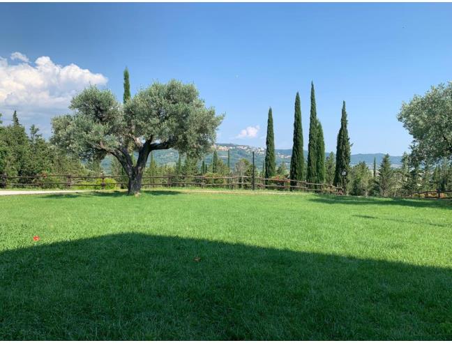 Anteprima foto 2 - Offerte Vacanze Agriturismo a Massa Marittima (Grosseto)