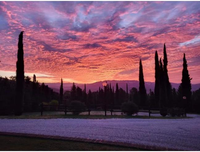 Anteprima foto 8 - Offerte Vacanze Agriturismo a Massa Marittima (Grosseto)